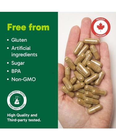 Organika Maca 4:1 Strength 180 Vcaps- 3000mg. High Bioavialability Hormone Balance Adaptogen to Help with Stress and Energy Herbal Supplement - Buy Online on GoSupps.com