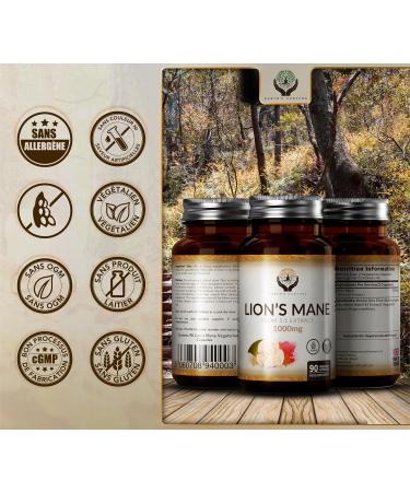 EN Lions Mane 1000mg Per Serving - 90 Capsules 5:1 Extract | Lions Mane Supplement | Non-GMO & Gluten Free | Made in the UK in ISO Licensed Facilities - Buy Online on GoSupps.com