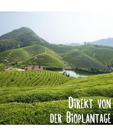 Organic Gyokuro Tokiwa - Premium First Flush Japanese Green Tea - 100g Bio Certified - Kluiz Organic Green Tea - Buy Online on GoSupps.com