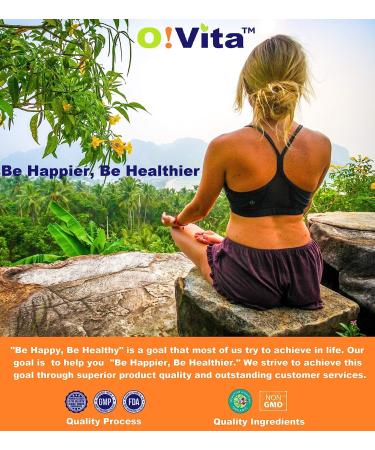 VITA St. John's Wort 500mg Mood Enhancer & Brain Health Support - 100 Non-GMO Capsules - Buy Online on GoSupps.com