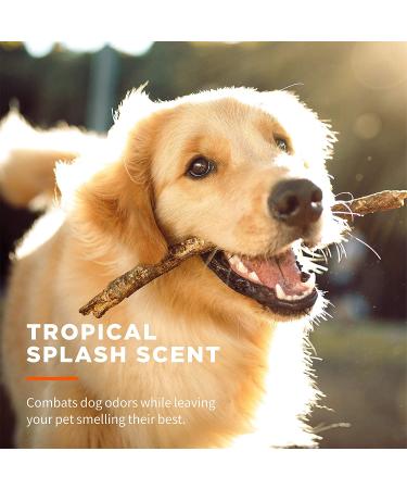 Wet Ones Pets Multipurpose Wipes for Dogs & Puppies - Tropical Splash Scent - 300 Count - Buy Online on GoSupps.com