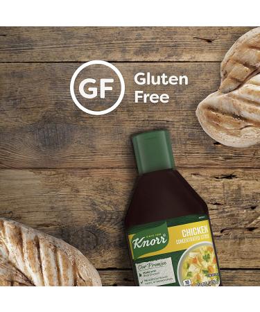 Knorr Concentrated Stock For a Flavorful and Aromatic Chicken Stock Chicken Gluten Free and No Artificial Flavors  Colors or Preservatives 8.45 fl oz  12 Count 8.45 Fl Oz (Pack of 12) Chicken - Buy Online on GoSupps.com