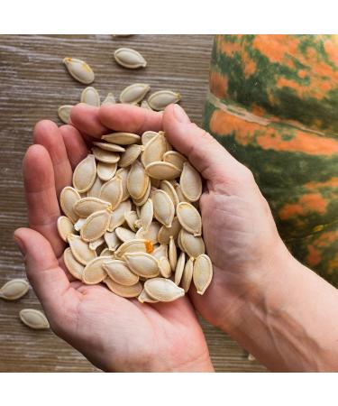 Natura d'Oriente Pumpkin Seeds with Shell 1000g - Buy Online on GoSupps.com