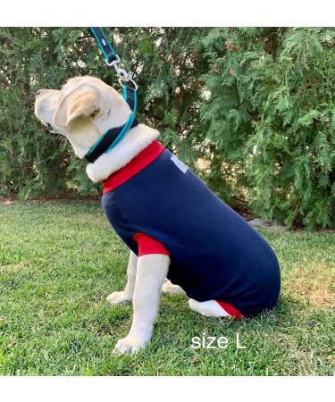 Dog Surgical Bodysuit | Wound Protection Suit for Dogs | Medical Recovery Shirt (XL Blue) - Shop Now! - Buy Online on GoSupps.com