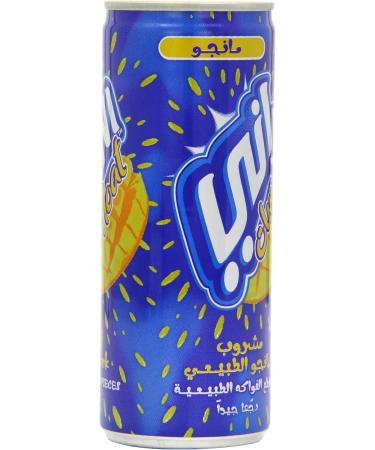  Rani Rani Pack of 24 Natural Mango Floating Drinks 240ml - Buy Online on GoSupps.com