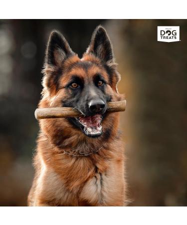 Natural Dog Treats - Coffee Wood Chewing Bones for Dogs & Puppies | Caustab & Kachtiele Toys (2 Pack) - Buy Online on GoSupps.com