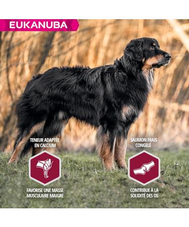 Eukanuba Daily Care - Mono-protein Salmon Dry Food for Adult Dogs - Rich in Fresh Frozen Salmon 2.3 kg - Buy Online on GoSupps.com