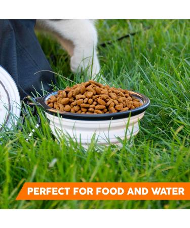 PUG Portable Foldable Pet Bowl with Carabiner - Lightweight & Unique Travel Drinking Bowl for Dogs & Cats - Buy Online on GoSupps.com