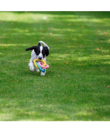 Petface Little Dog Toy with Rope Hearts | Durable Chew Toy for Small Dogs | Shop Internationally - Buy Online on GoSupps.com