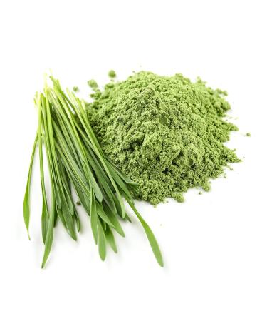 Wohltuer Organic Wheatgrass Powder 500g - DE- KO-006 | Bavarian Organic Superfood for Health - Buy Online on GoSupps.com