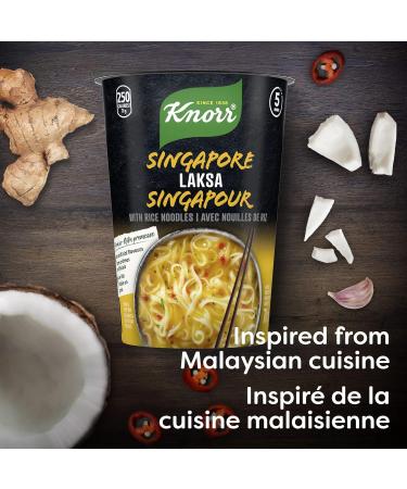 Knorr Rice Noodle Cup for a Light Soup Meal or Snack Ready in 5 mins Singapore Laksa Low Fat Vegetarian and no Artificial Flavours 70 g ( 8 Count ) - Buy Online on GoSupps.com