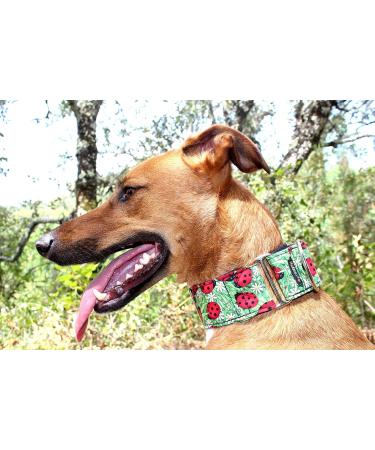Buy candyPet Martingale Dog Collar - Ladybugs | Special Width L (5 cm) | Perfect for Dogs 30-50 cm Diameter - International Shipping Available - Buy Online on GoSupps.com