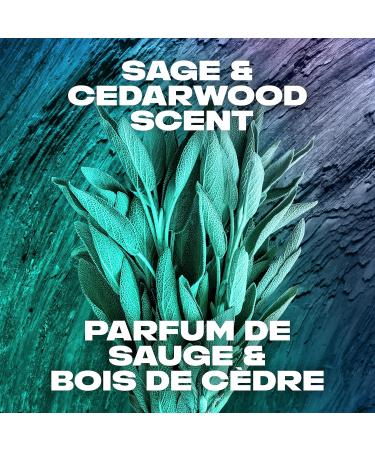 AXE Deodorant Body Spray Apollo 113 g - Buy Online on GoSupps.com