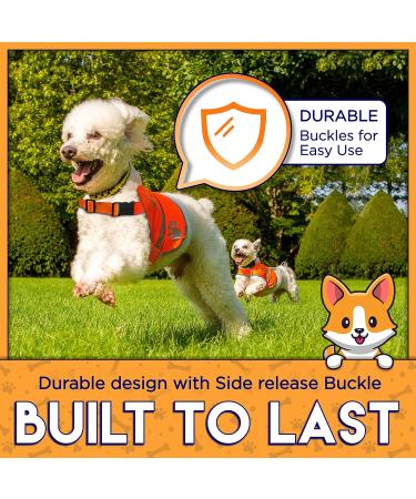 Orange Dog Safety Reflective Vest with Leash Hole - Lightweight XS High Visibility for Outdoor Activity SNAP LOCK BUCKLE Straps - Keep Your Dog Safe Day & Night - Buy Online on GoSupps.com