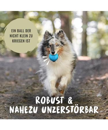 Rudelk nig Dog Ball - Indestructible Natural Rubber - 2-Pack Orange & Blue - 6.5cm - Perfect for Dogs - International Shipping - Buy Online on GoSupps.com