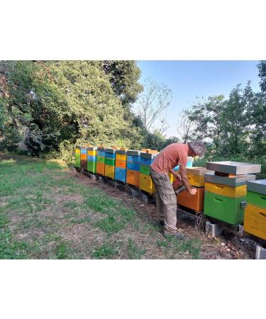 IO APE - Organic Summer Millefiori Honey 500 g - Italian honey from the Como region - Buy Online on GoSupps.com