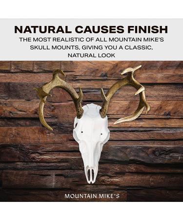 Mountain Mike's Reproductions Skull Master - Universal Antler Mounting Kit - European-Style - Fits Most Antlers - White Natural - Buy Online on GoSupps.com