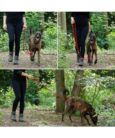 Buy Lionto Adjustable Dog Leash - Multifunctional Weatherproof 200 cm Red | Perfect for Medium Dogs - Shop Internationally! - Buy Online on GoSupps.com