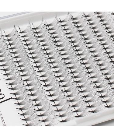 Large Tray of 10 Rows Premade Fan Eyelash Extensions - Mixed Lengths 8-14mm | Individual False Lashes Cluster - 10 Count Pack - Buy Online on GoSupps.com