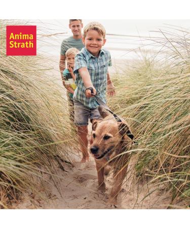 Anima-Strath Natural Food Supplement for Dogs & Cats | Immune System & Digestive Care with 61 Vital Nutrients Vitamins Minerals Amino Acids & Prebiotic Qualities | BARF Diet Food Topper (250 ml) Herbal 250 ml (Pack of 1) - Buy Online on GoSupps.com