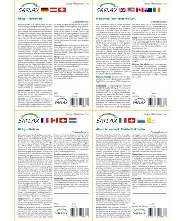 SAFLAX - Ginkgo - 4 seeds - With substrate - Ginkgo biloba - Buy Online on GoSupps.com