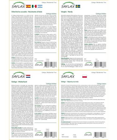 SAFLAX - Ginkgo - 4 seeds - With substrate - Ginkgo biloba - Buy Online on GoSupps.com