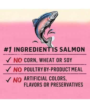 Purina Beyond Grain-Free Natural Adult Wet Cat Food Pate - Wild Salmon Flavor (12 Pack) - Buy Online on GoSupps.com