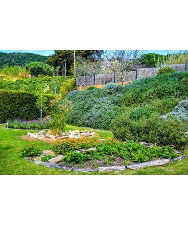 GIURA COSMETICS 1450EUR 100 ml gross cream anticellulity giura from the Mediterranean Sea 200c Content 200ml - Buy Online on GoSupps.com