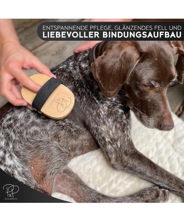 Pawz & Pawz Premium Dog Brush for Short Hair | Gentle Fur Care for Dogs & Cats | Striegel & Fell Brush with Massage Effect | Ideal Pet Grooming Comb - Buy Online on GoSupps.com