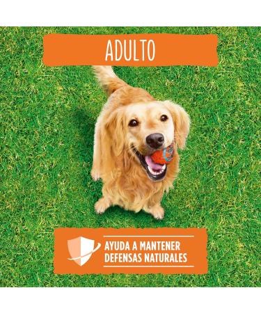 Purina Friskies - Adult Dog Food (poultry and vegetables added) - Buy Online on GoSupps.com