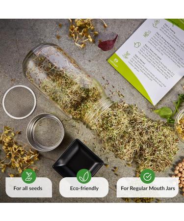 Seed Sprouting Jar Lids - 2 Pack Stainless Steel Strainer Screens for Regular Mouth Mason Jars | Grow Fresh Broccoli, Alfalfa, Beans at Home - Buy Online on GoSupps.com