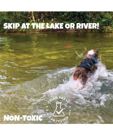 Skip NN' Fetch Small/Medium Floating Dog Toys Qty 2 | Stone Skipping Meets Fetch | Fun for Swimming Pool Lake Beach and Land | Perfect Floating Water Toys for Small/Medium Dogs | S/M - Buy Online on GoSupps.com