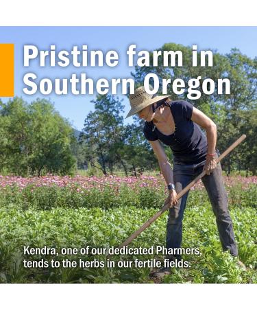 Herb Pharm Certified Organic Lemon Balm Liquid Extract for Calming Nervous System Support Organic Cane Alcohol 1 Ounce (Pack of 5) 1 Fl Oz (Pack of 5) - Buy Online on GoSupps.com