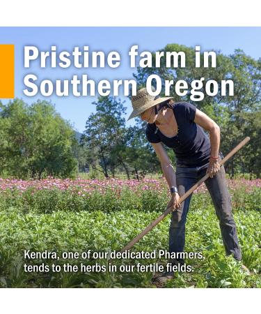 Herb Pharm Alcohol-Free Stinging Nettle Glycerite - 1 oz | Natural Nettle Extract - Buy Online on GoSupps.com