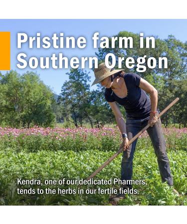 Herb Pharm Stinging Nettle Blend Liquid Extract - 4 oz | Natural Allergy Relief - Buy Online on GoSupps.com