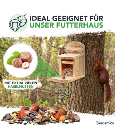 Gardemics Squirrel Feed with Hazelnuts 2kg - Species-Appropriate Year-Round Food for Squirrels & Chipmunks - No Peanuts - Buy Online on GoSupps.com