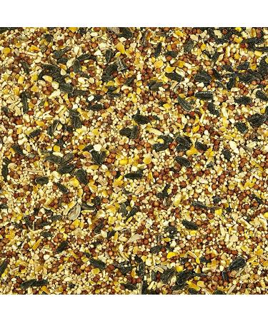 Kaytee Wild Bird Food 10lb Bag - Premium Quality Feed for Birds - Buy Online on GoSupps.com