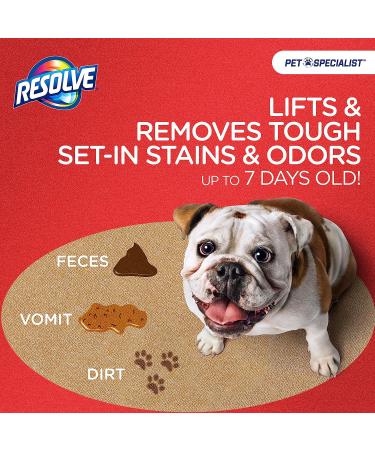 Resolve Pet Specialist Easy Clean Brushing Kit with Heavy Traffic Foam Carpet Cleaner 22oz - Buy Online on GoSupps.com