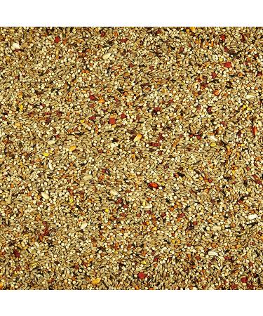 Kaytee Orange Flavored Parakeet Treat - 10 oz - Buy Online on GoSupps.com