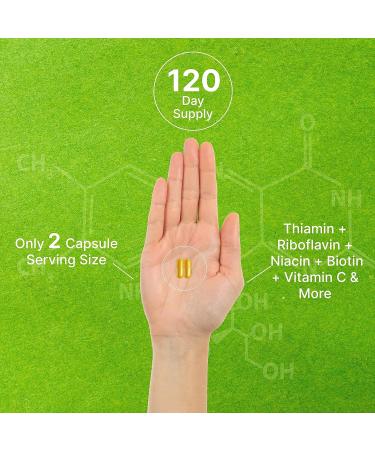 Bioactive Vitamin B Complex for Men & Women 240 Veggie Capsules - Methylated B Complex & Esterified Vitamin C High Potency & Easy Absorption Immune Energy & Metabolism Supplement Non-GMO - Buy Online on GoSupps.com