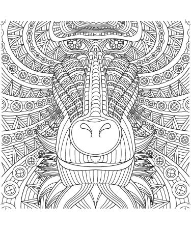 Kaisercraft On Safari Coloring Book - Engaging Wildlife Designs for Relaxation - Buy Online on GoSupps.com