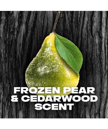 AXE Black Frozen Pear & Cedarwood Antiperspirant Stick for Men 2.7oz 12 Pack - Buy Online on GoSupps.com