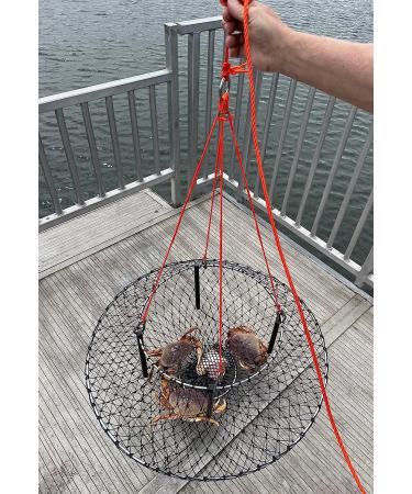 AirFly 4 Arm Crab Trap Harness with 304 Stainless Steel Hooks - Buoy Float Combo Rope - Buy Online on GoSupps.com