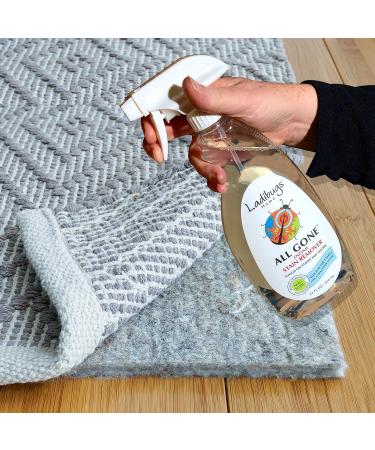 LADIBUGS Natural Enzyme Stain & Odor Remover Spray - 22oz Non-Toxic Biodegradable Solution for Tough Stains | Ship Worldwide - Buy Online on GoSupps.com