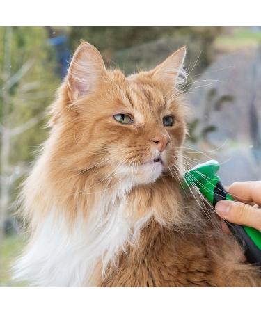 Fino Pet Cat Brush Size M - Ideal for Medium & Large Cats | Short & Long Hair Fur Care | Underproof Brush & Flea Comb Accessories - Buy Online on GoSupps.com