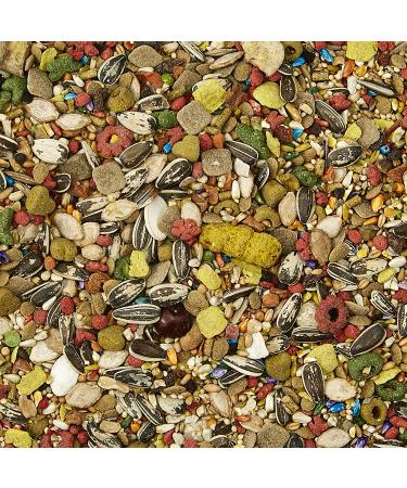 Kaytee Fiesta Conure Gourmet Diet - 4.5 lb Fortified Bird Food - Buy Online on GoSupps.com