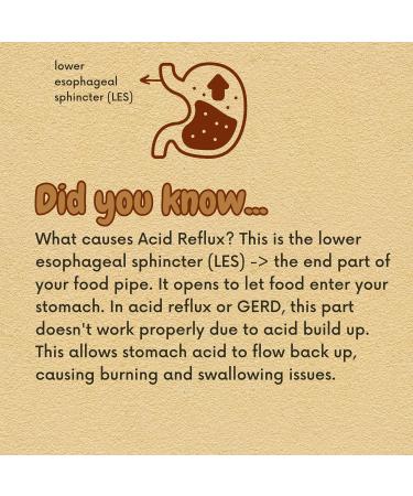 Acid & Indigestion Relief | Doctor-Formulated Antacid Alternative with Ginger Curcumin & Spearmint - 30 Servings - Buy Online on GoSupps.com