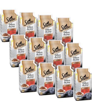 Sheba d lices du jour - wet food for adult cats - poultry selection in sauce - fresh bag 72 x 50 g selection of the butcher in sauce.50 g (72 pack)