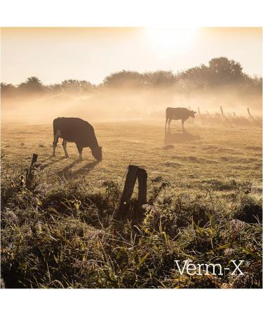 Verm-X Original All Natural Pellets for Cows. Approved for Use on Organic Farms. SupportsIntestinal Hygiene. Vet Approved.Restores and Maintains Gut Vitality. Wormwood Free Recipe. - Buy Online on GoSupps.com