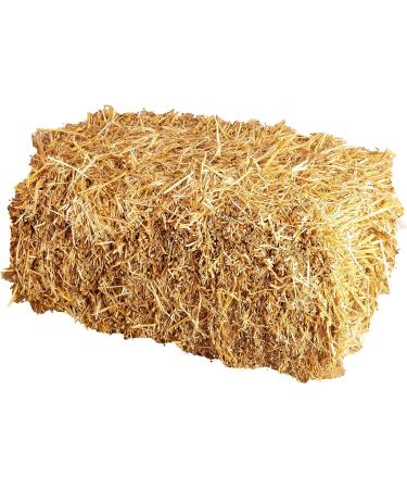 15 kg Quality Wheat Straw Bales for Rabbits & Guinea Pigs - Fresh Unsprayed Farm-Direct | Ideal for Food & Decoration - Buy Online on GoSupps.com